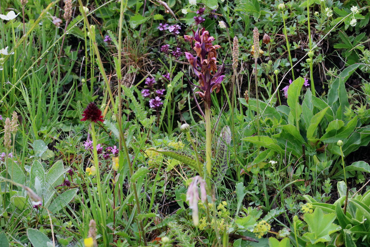 2017_06_29_036240p_Bildgr��e �ndern