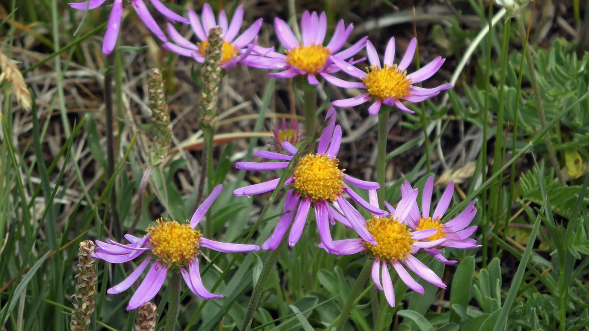 06-29-2017_131634p_Bildgr��e �ndern