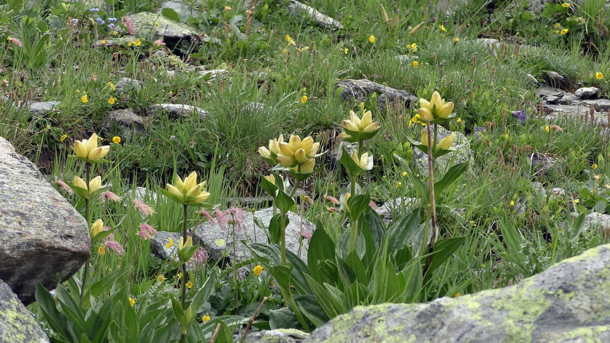 06-29-2017_141252(1)p_Bildgr��e �ndern