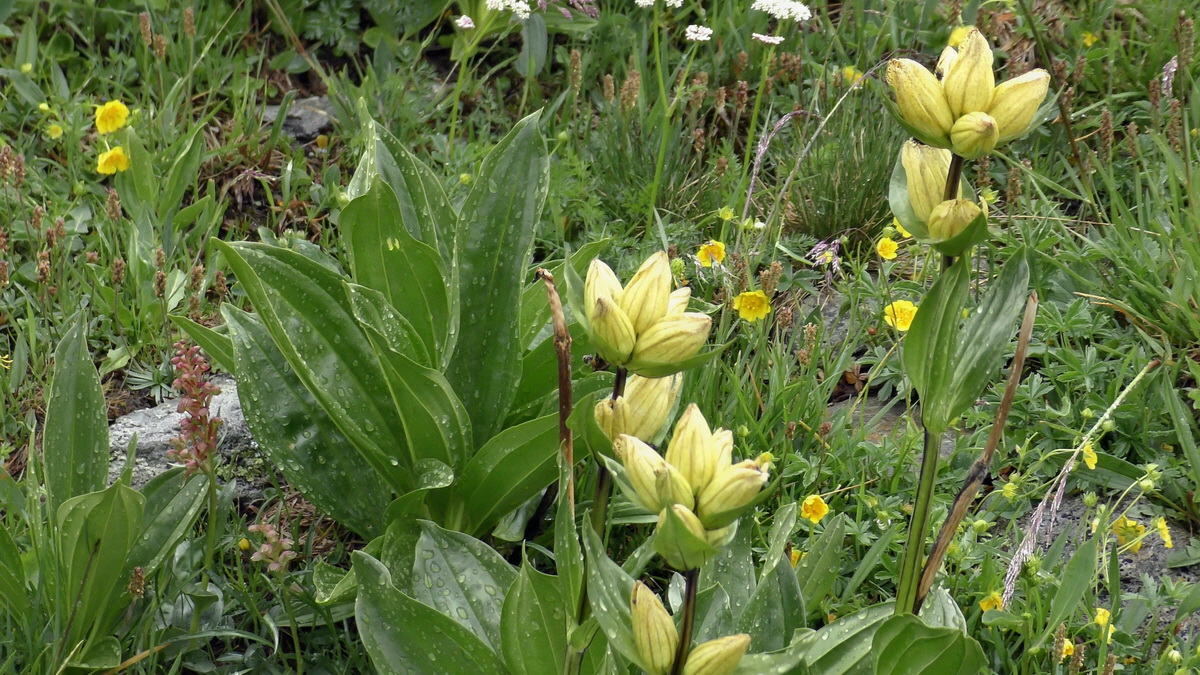 06-29-2017_141351p_Bildgr��e �ndern