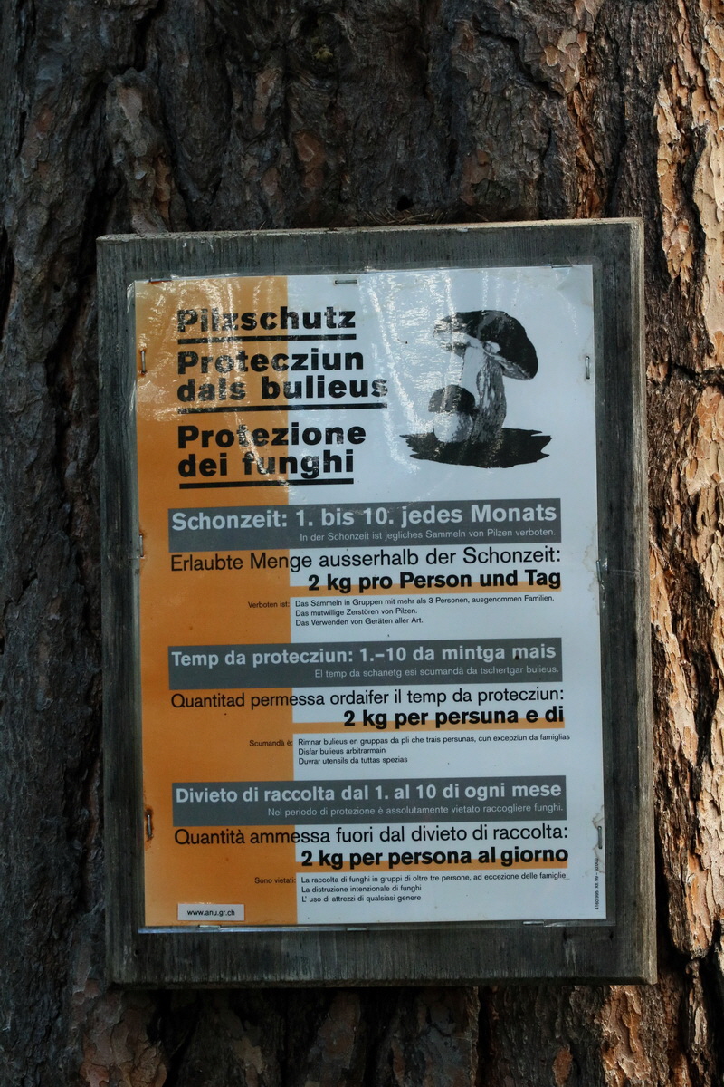 2017_06_30_036241p_Bildgr��e �ndern