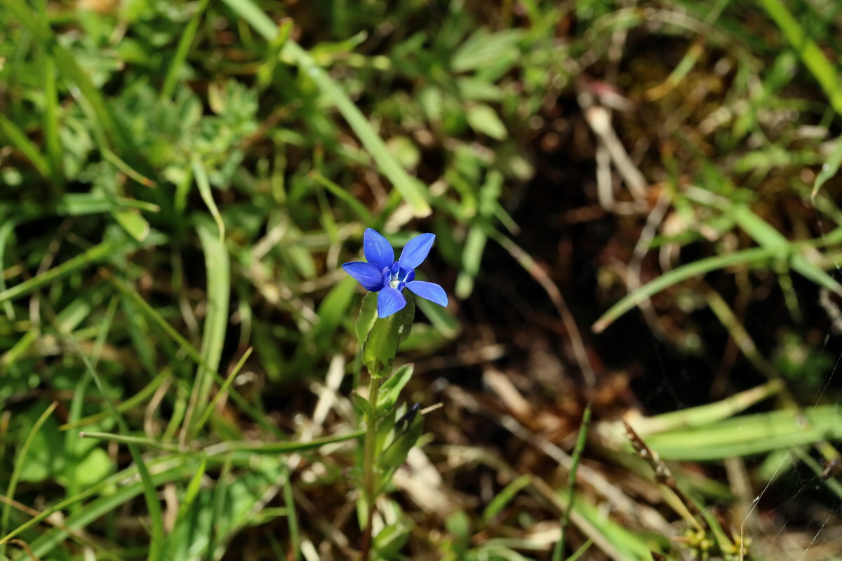 2017_06_30_036245p_Bildgr��e �ndern