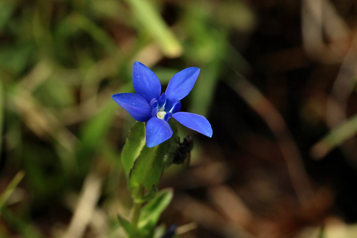 2017_06_30_036248p_Bildgr��e �ndern