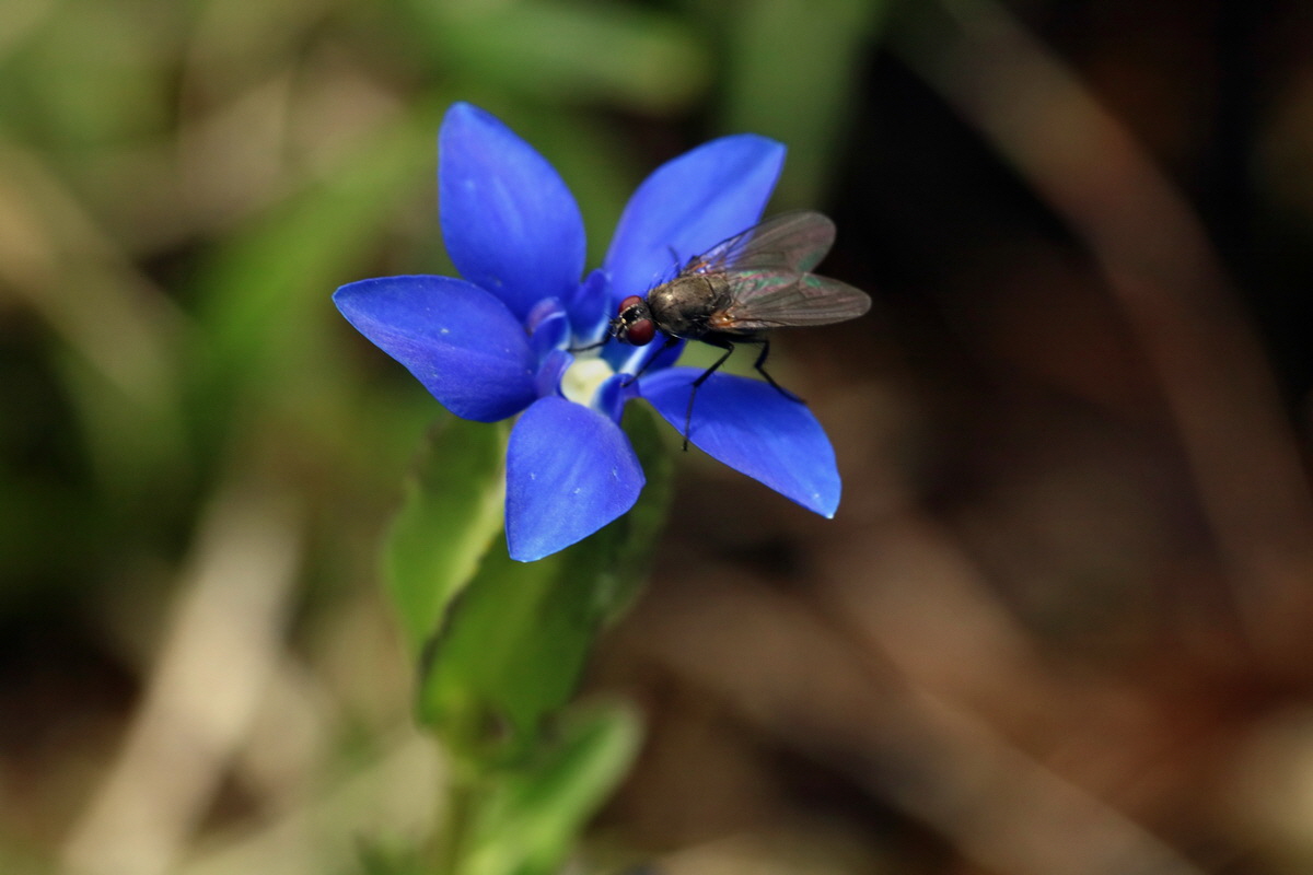 2017_06_30_036254p_Bildgr��e �ndern