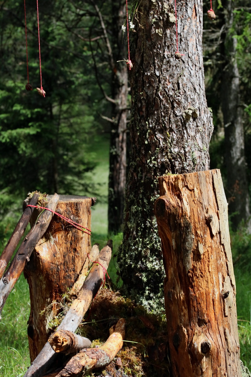 2017_06_30_036281p_Bildgr��e �ndern