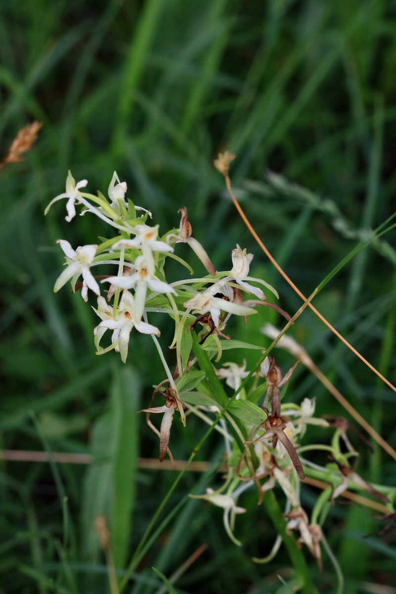 2017_06_30_036295p_Bildgr��e �ndern