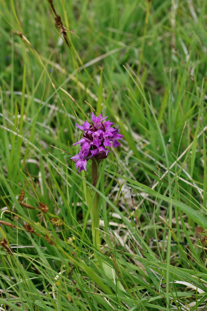 2017_06_30_036299p_Bildgr��e �ndern