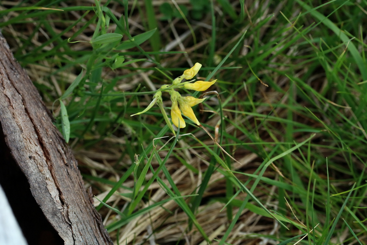 2017_06_30_036302p_Bildgr��e �ndern