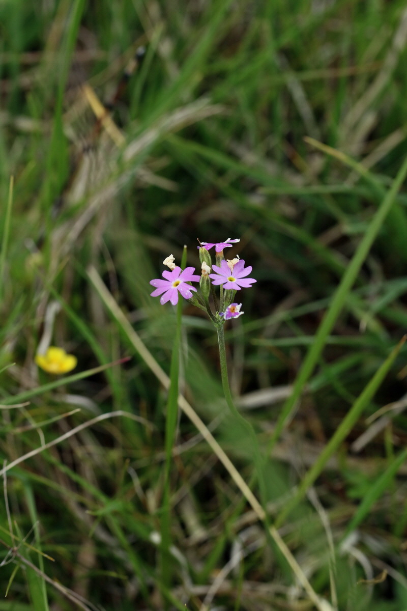 2017_06_30_036310p_Bildgr��e �ndern