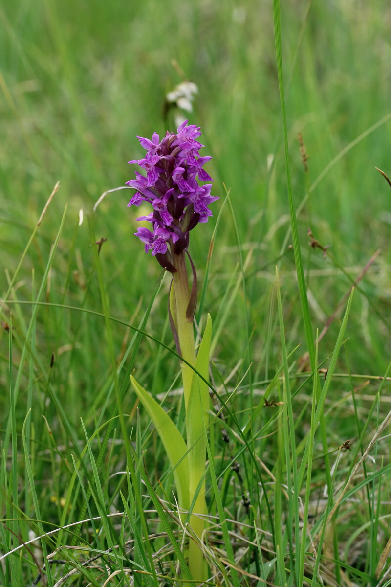 2017_06_30_036311p_Bildgr��e �ndern