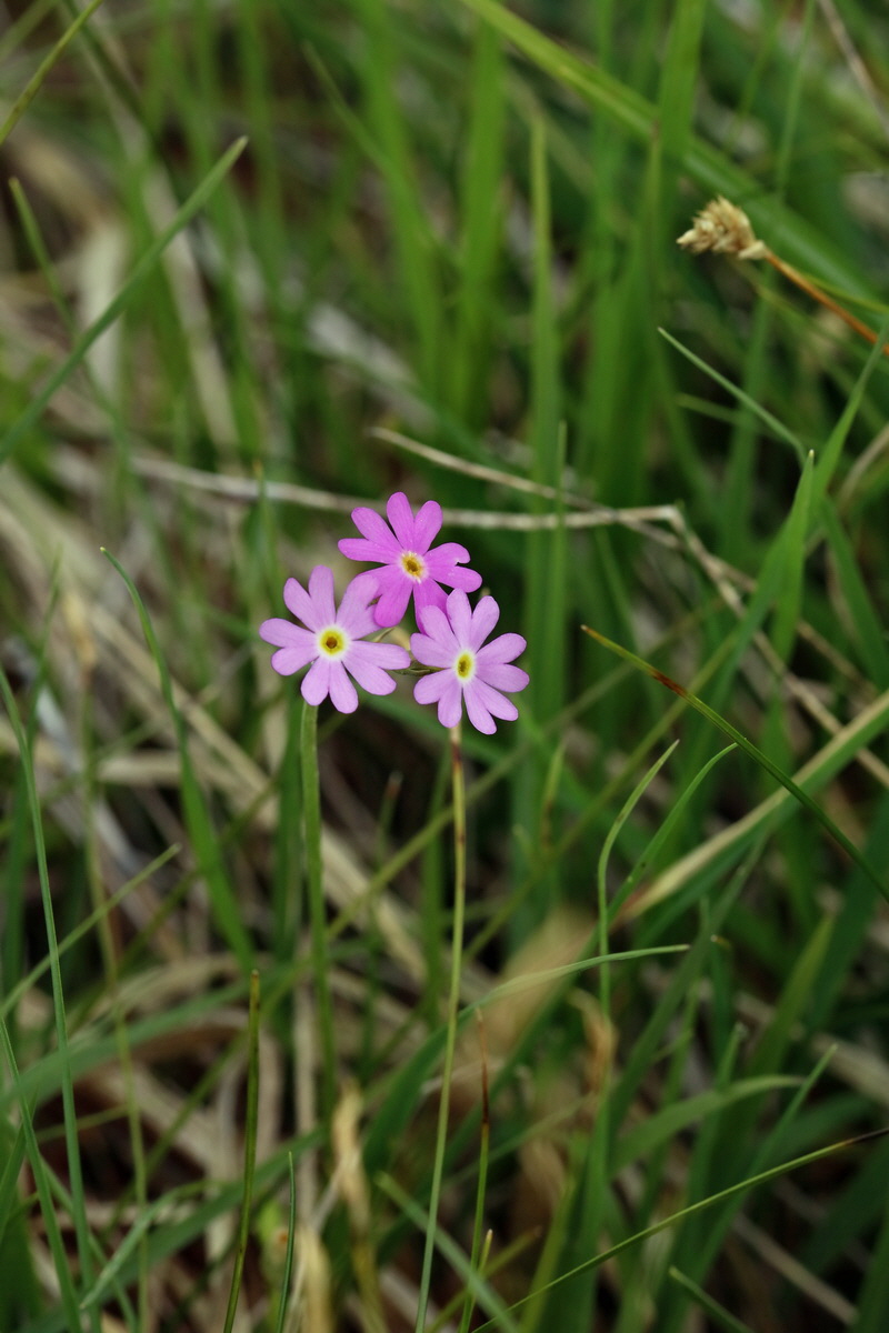 2017_06_30_036315p_Bildgr��e �ndern