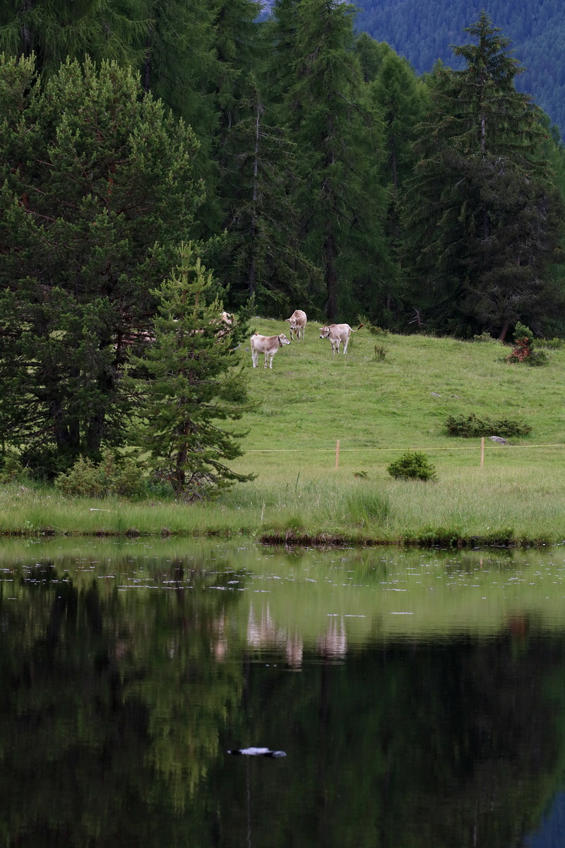 2017_06_30_036321p_Bildgr��e �ndern