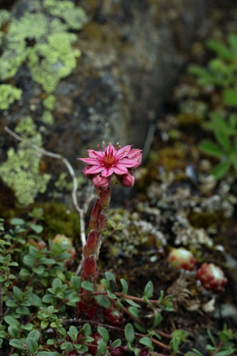 2017_06_30_036334p_Bildgr��e �ndern