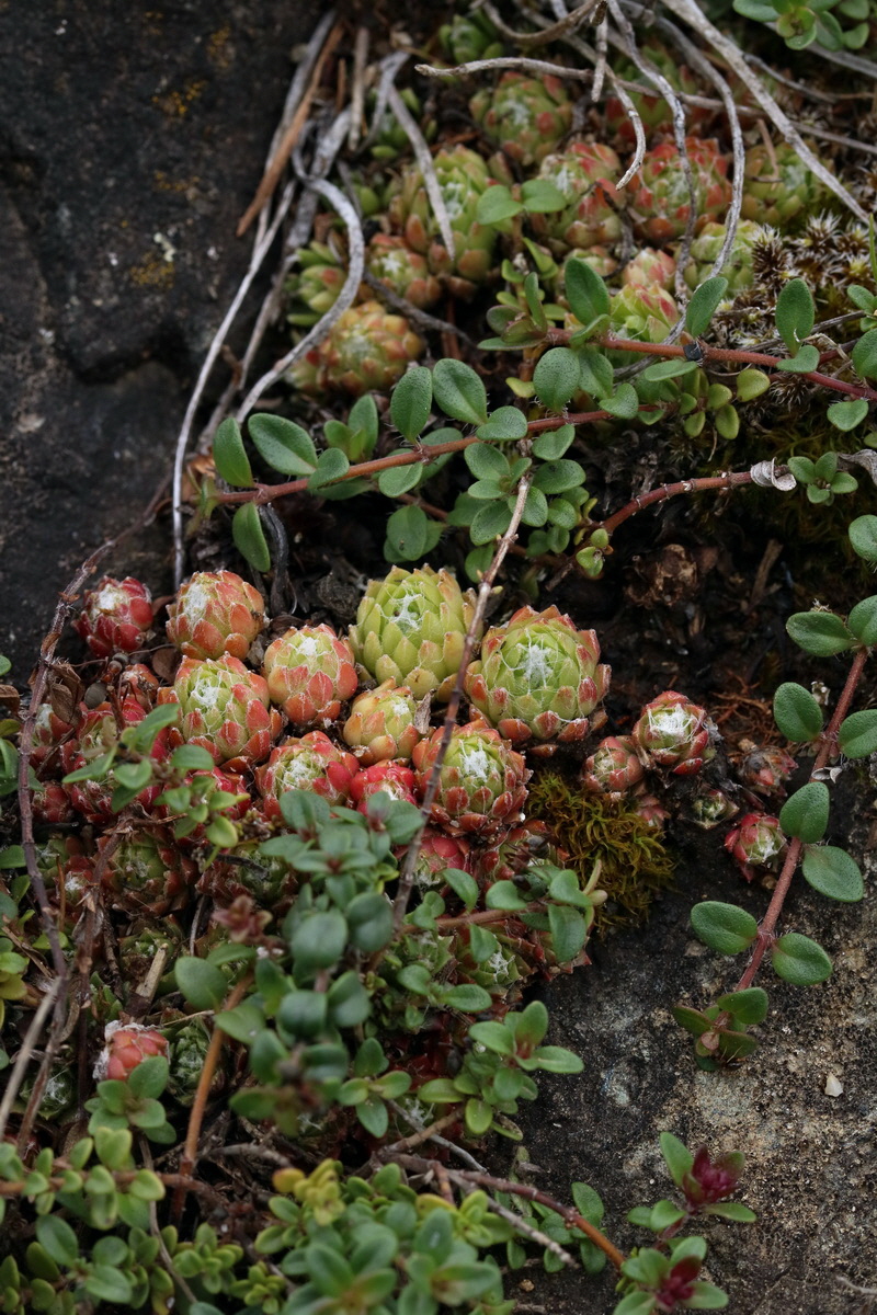 2017_06_30_036338p_Bildgr��e �ndern