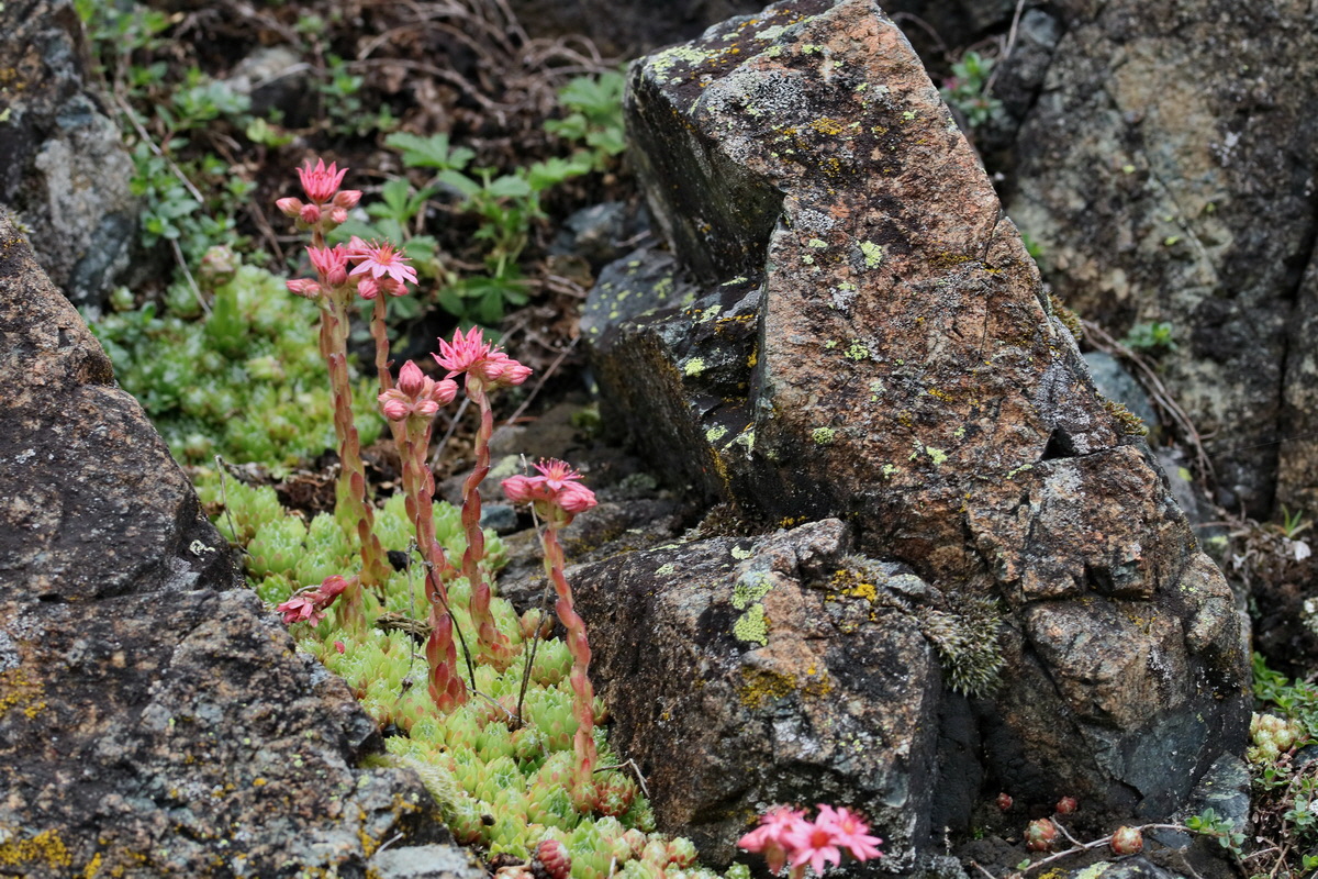 2017_06_30_036361p_Bildgr��e �ndern