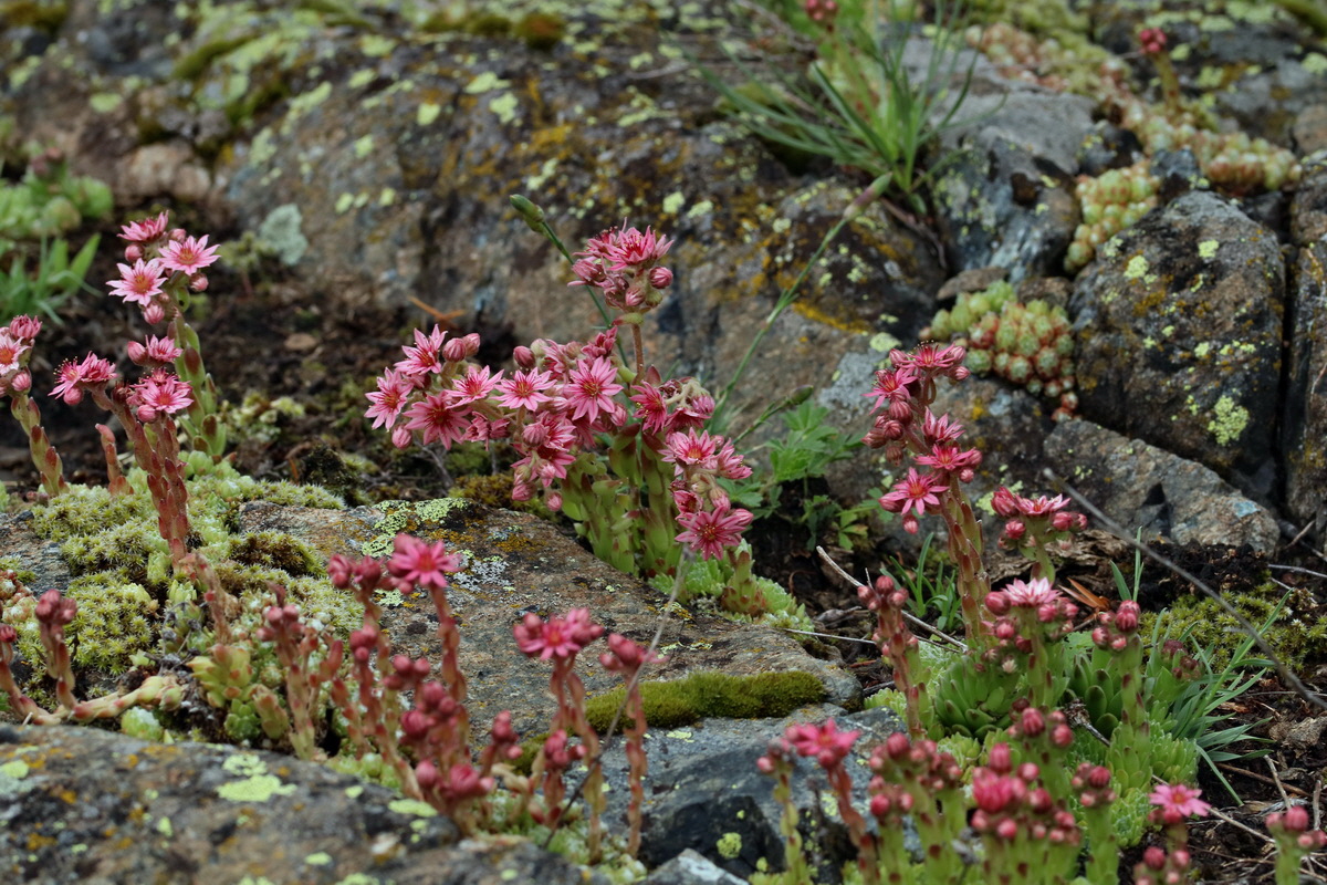 2017_06_30_036383p_Bildgr��e �ndern