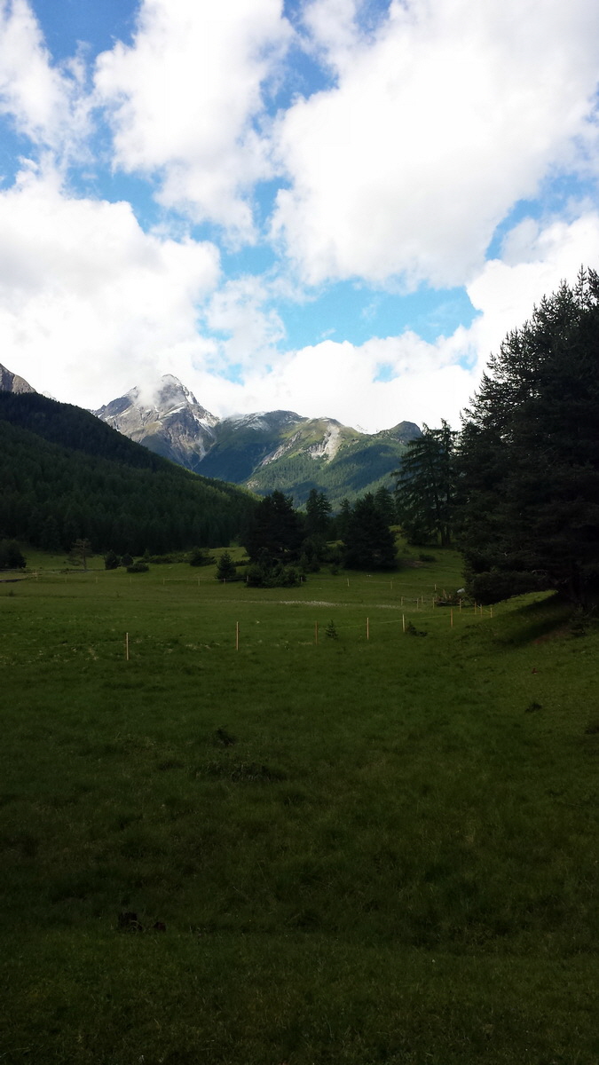 20170630_105344_1p_Bildgr��e �ndern