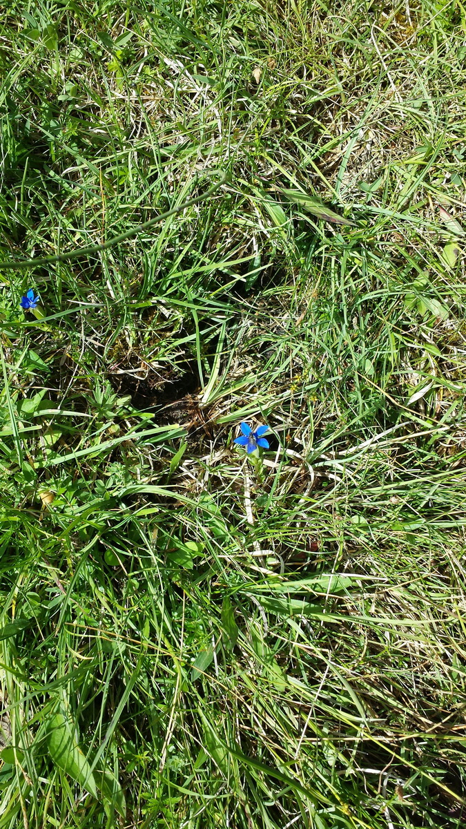 20170630_110002_1p_Bildgr��e �ndern