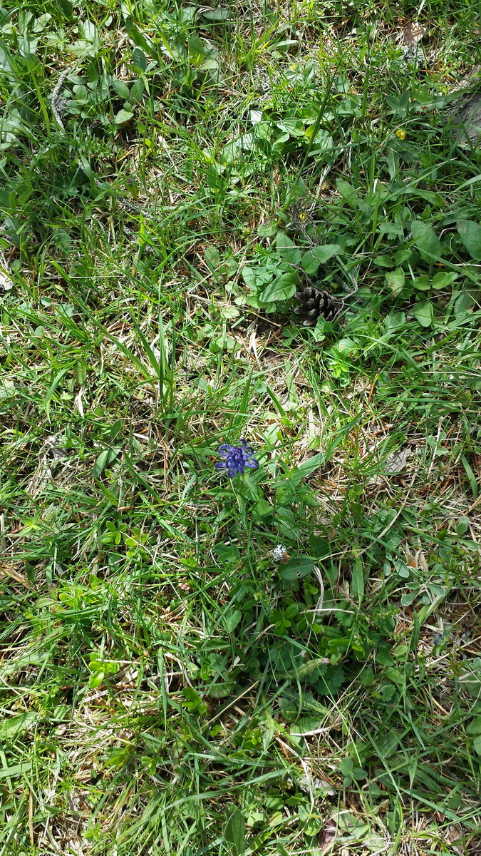 20170630_110235p_Bildgr��e �ndern