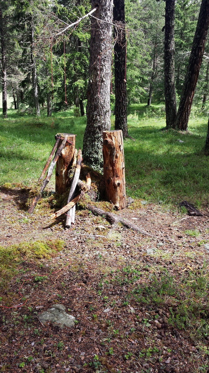 20170630_111107p_Bildgr��e �ndern