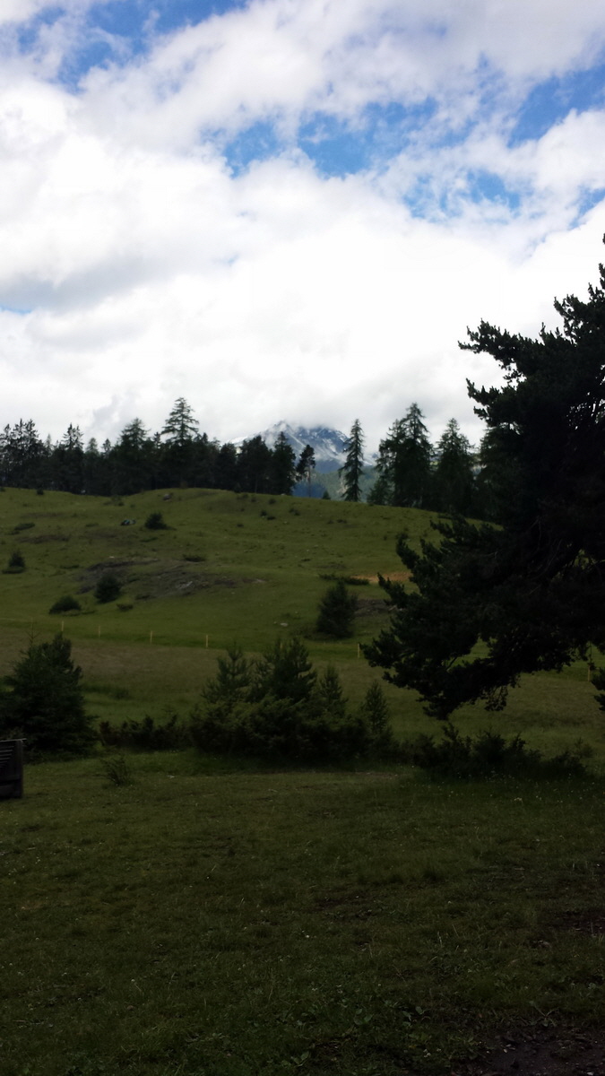 20170630_111447p_Bildgr��e �ndern