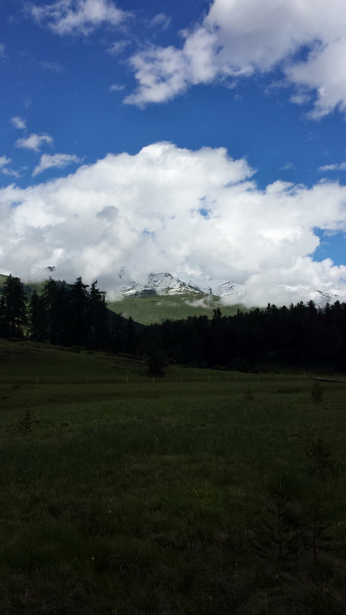 20170630_112210p_Bildgr��e �ndern