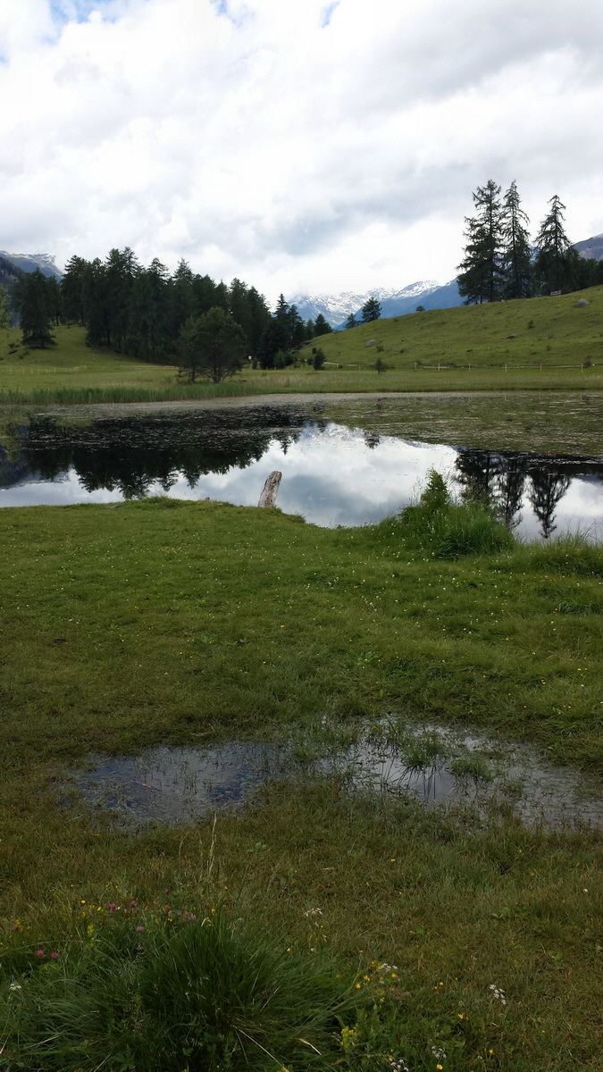 20170630_112834p_Bildgr��e �ndern