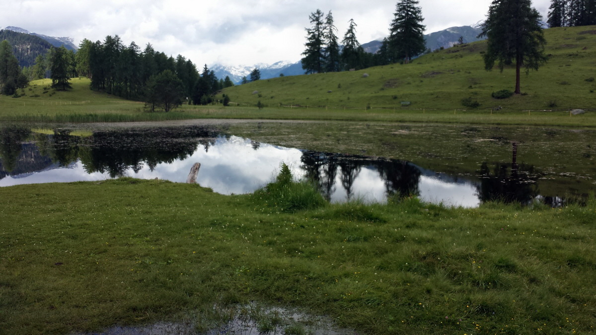 20170630_112852p_Bildgr��e �ndern