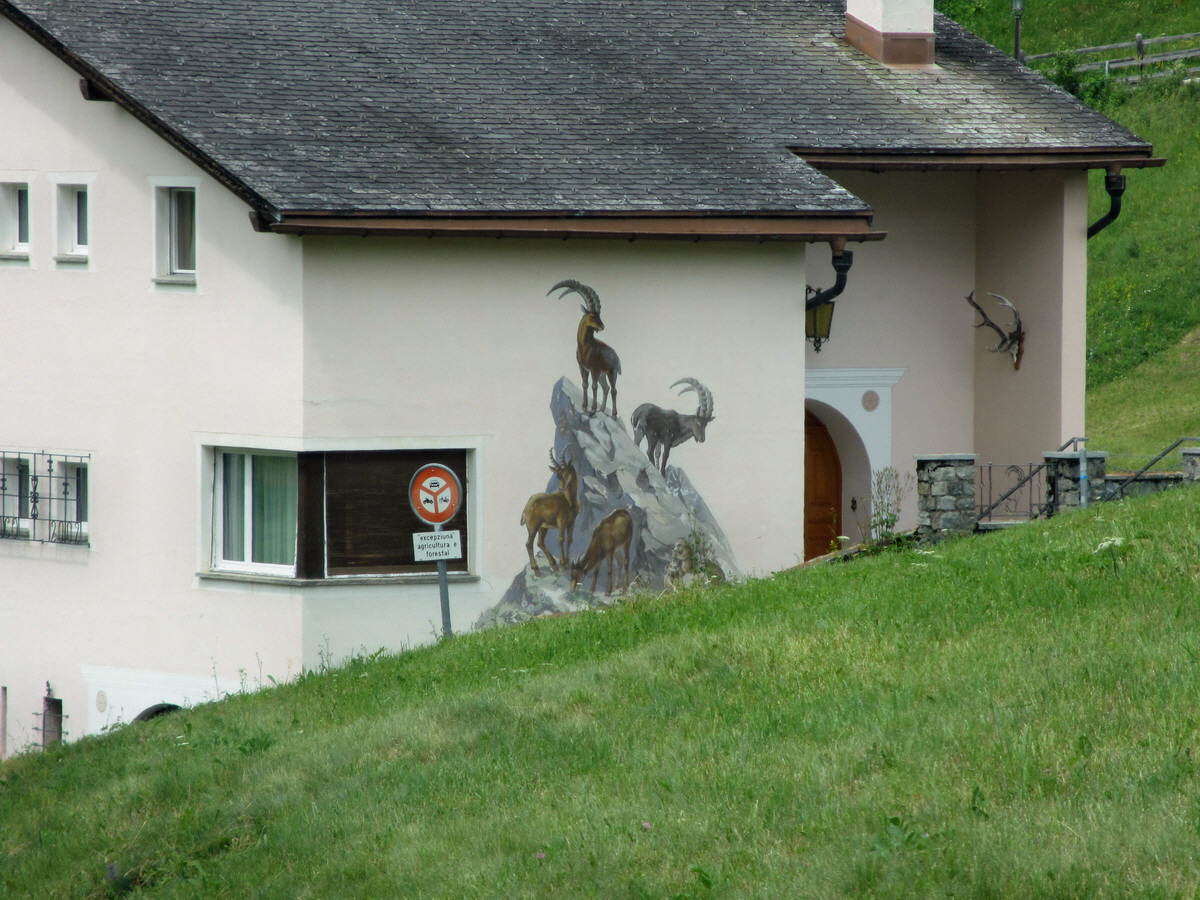 IMG_0181p_Bildgr��e �ndern