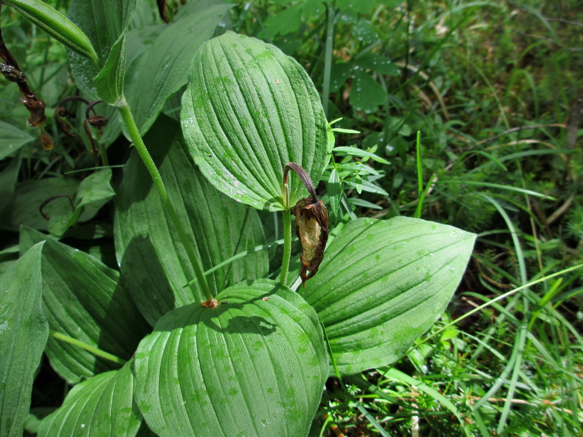 IMG_0205p_Bildgr��e �ndern