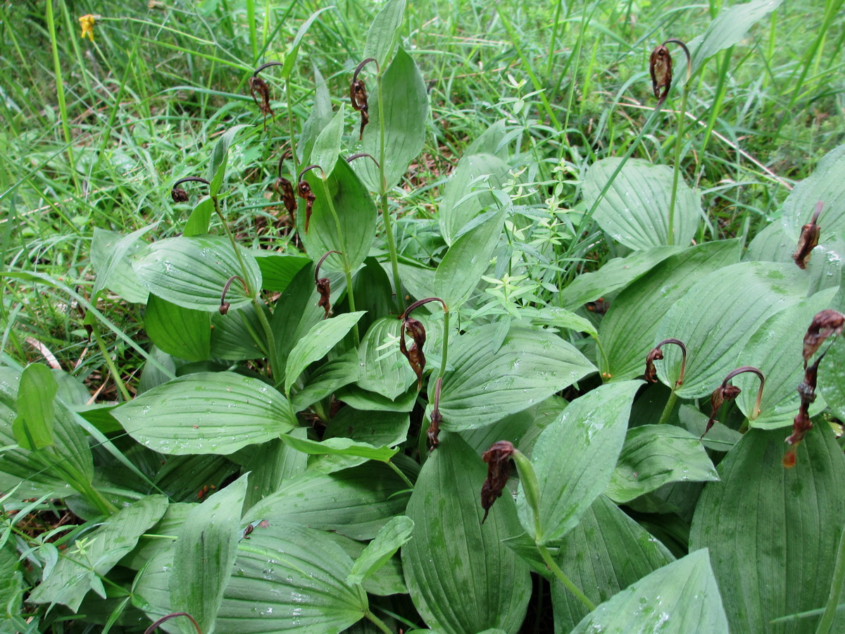 IMG_0206p_Bildgr��e �ndern